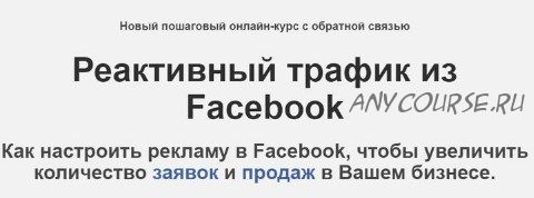 Реактивный трафик из Facebook. Очень много трафика из Фейсбука (Михаил Христосенко, Зуши Плетнев)