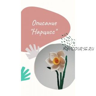 Нарцисс (Ирина Рыболовлева)