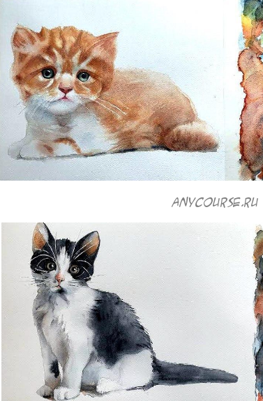 Рисуем котят акварелью (Андрей Шаров)