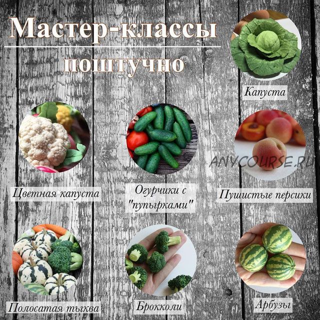 [ManuFruktura] Лепка овощей и фруктов. Набор мастер-классов (Юлия Бухарова)