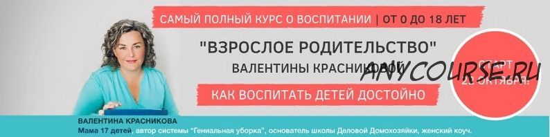 [Деловая домохозяйка] Взрослое родительство (Валентина Красникова)