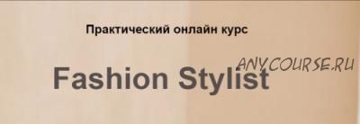 [Bantser Fashion School] Fashion Stylist. Пакет Новичок (Марина Банцер)