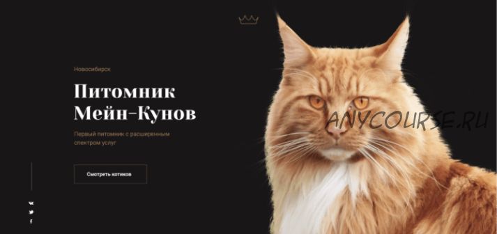 [HTML Academy] Проект по вёрстке «Кошачий питомник»