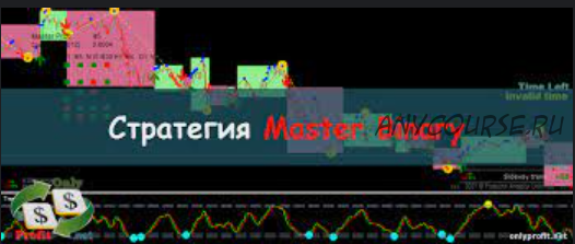 Профессиональная cтратегия «MasterBinary»