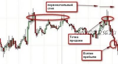 Живое обучение – Безиндикаторная торговля (Станислав Бернухов)