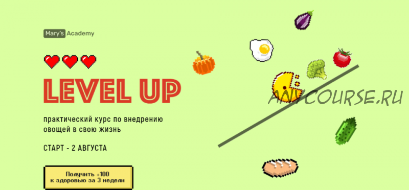 Level up. Практический курс по внедрению овощей в свою жизнь. Тариф Оптимальный (Мария Кардакова)