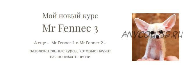 Mr Fennec 3 (Антон Брежестовский)