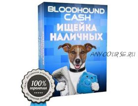 Bloodhound Cash - ищейка наличных. Зарабатывай 15 000 рублей в день легко (Алексей Зименко)