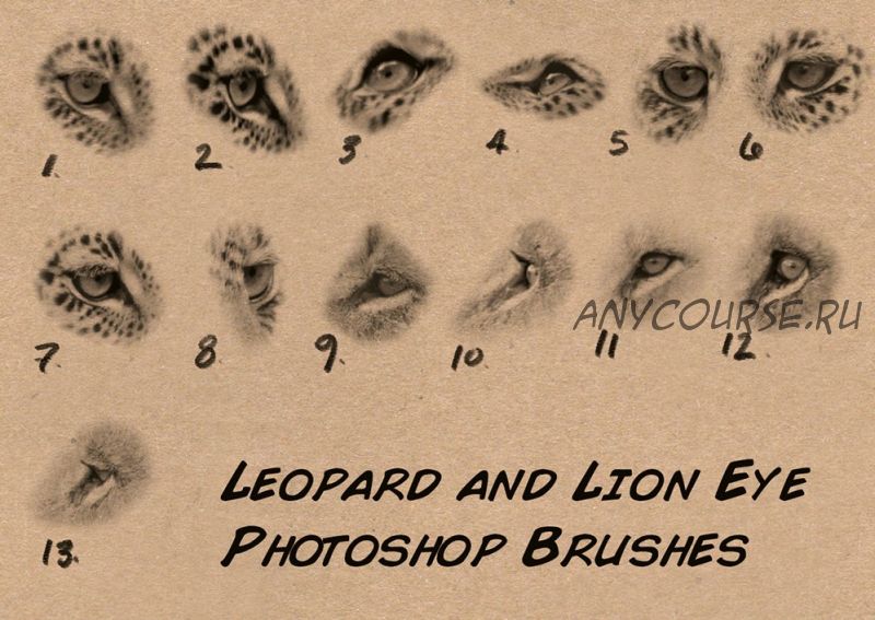 Кисти фотошоп-глаза льва и леопарда / Custom Photoshop Brushes Set 4 Lion,Leopard Eyes (Аарон Блейз)