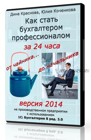 Как стать бухгалтером-профессионалом за 24 часа: от чайника до начальника. 2014 (Дина Краснова)