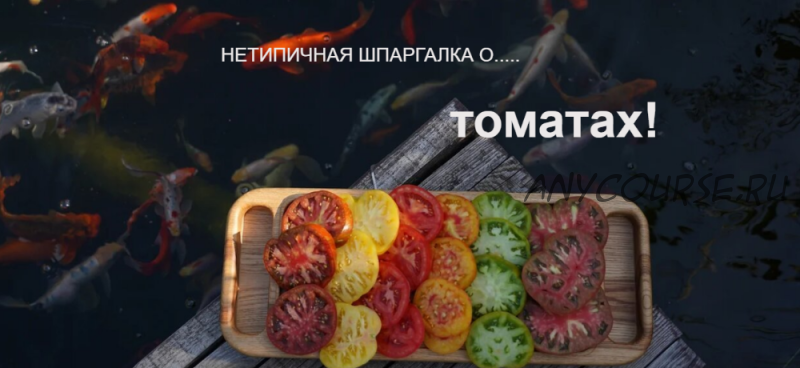 [Нетипичный Фермер] Нетипичная шпаргалка о томатах (Анна Акинина)