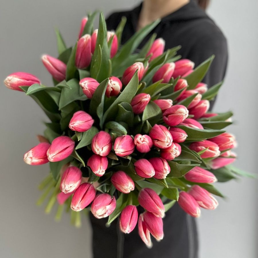 Розовые тюльпаны от 15 шт