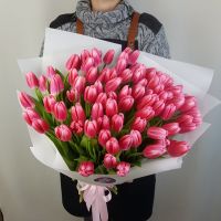 101 тюльпан в упаковке (цвет можно выбрать)