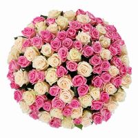 101 роза микс розовых и белых 70 см