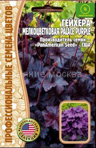 Гейхера Palace Purple мелкоцветковая PanAm, 10 шт. (Ред.Сем.)