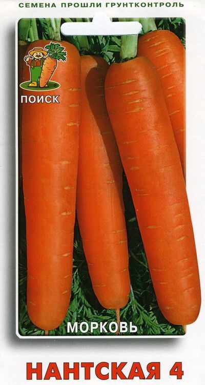Семена Морковь Нантская 4  2гр.