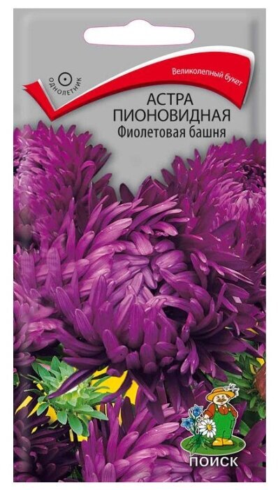Семена Астра пионовидная Фиолетовая башня 0,3 гр
