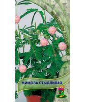 Семена Мимоза Стыдливая 0.3 г