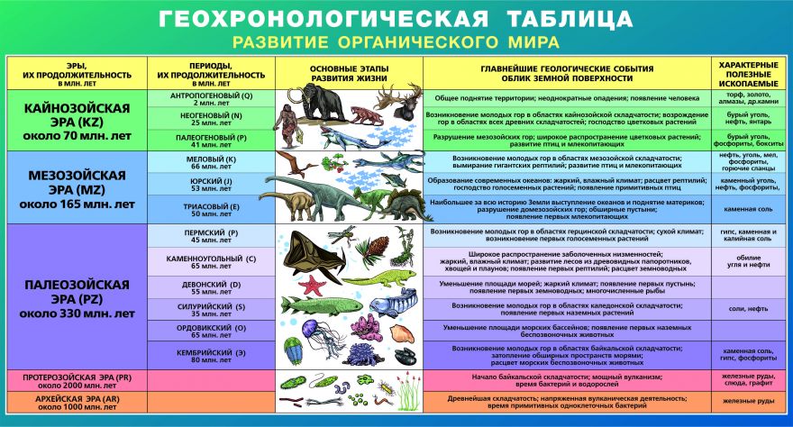 Таблица Уровни организации живой природы