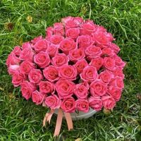 51 розовая роза в виде сердца в коробе