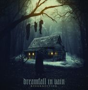 DREAMFALL IN VAIN - Resurection