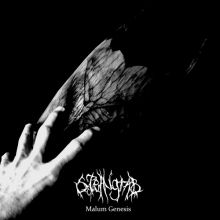 STEINGRAB - Malum Genesis