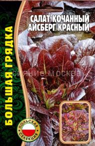 Салат кочанный Айсберг Красный, 1000 шт. (Ред.Сем.)