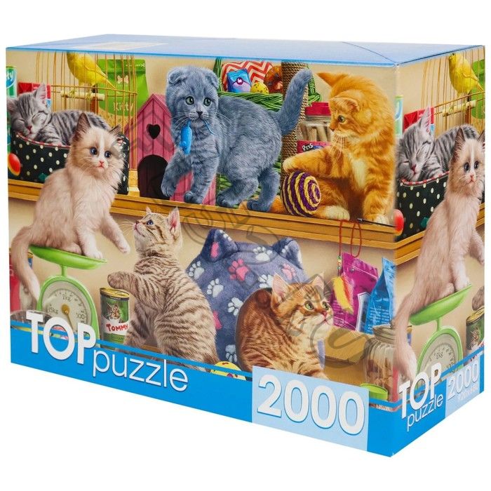 Пазл «Смешные котята в зоомагазине», 2000 элементов