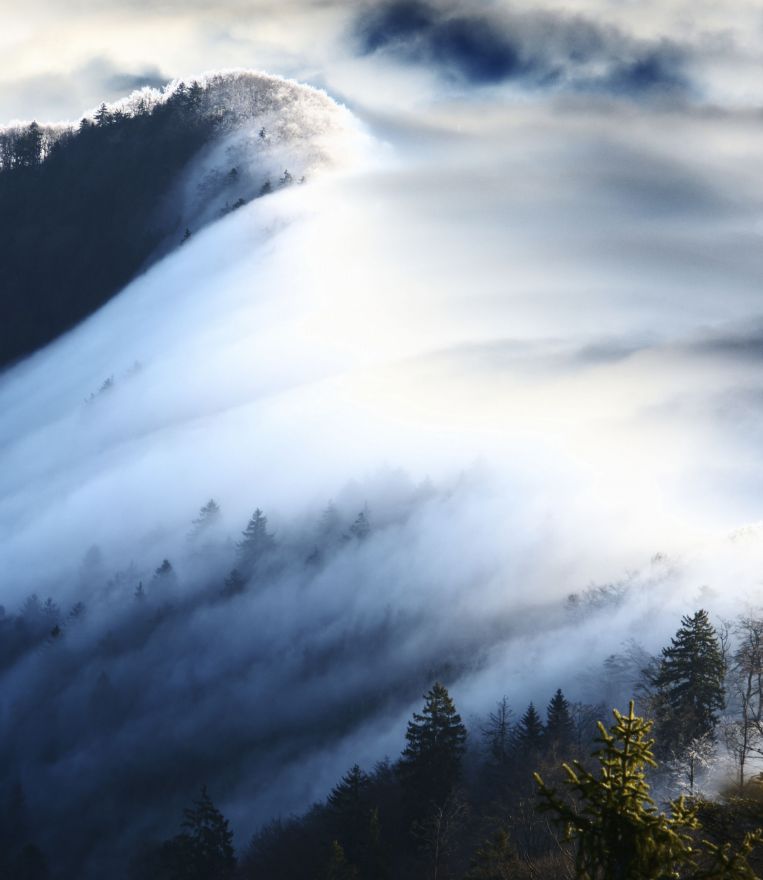 Фотообои Мистический туман