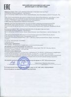 Рициниол Базовый, 60 мл сертификат
