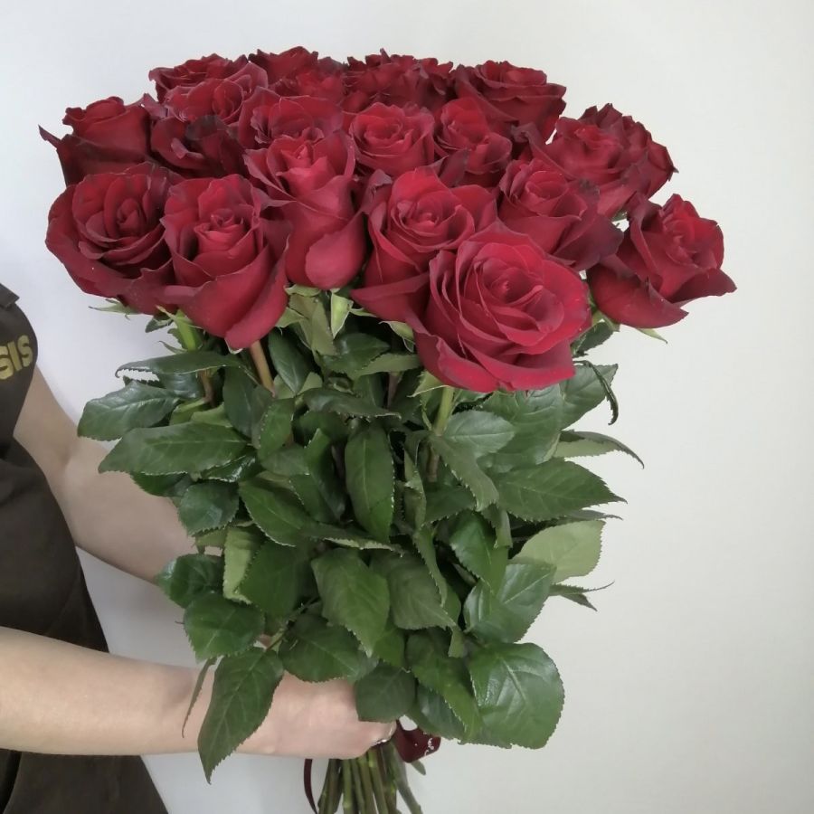Красные розы Эквадорские