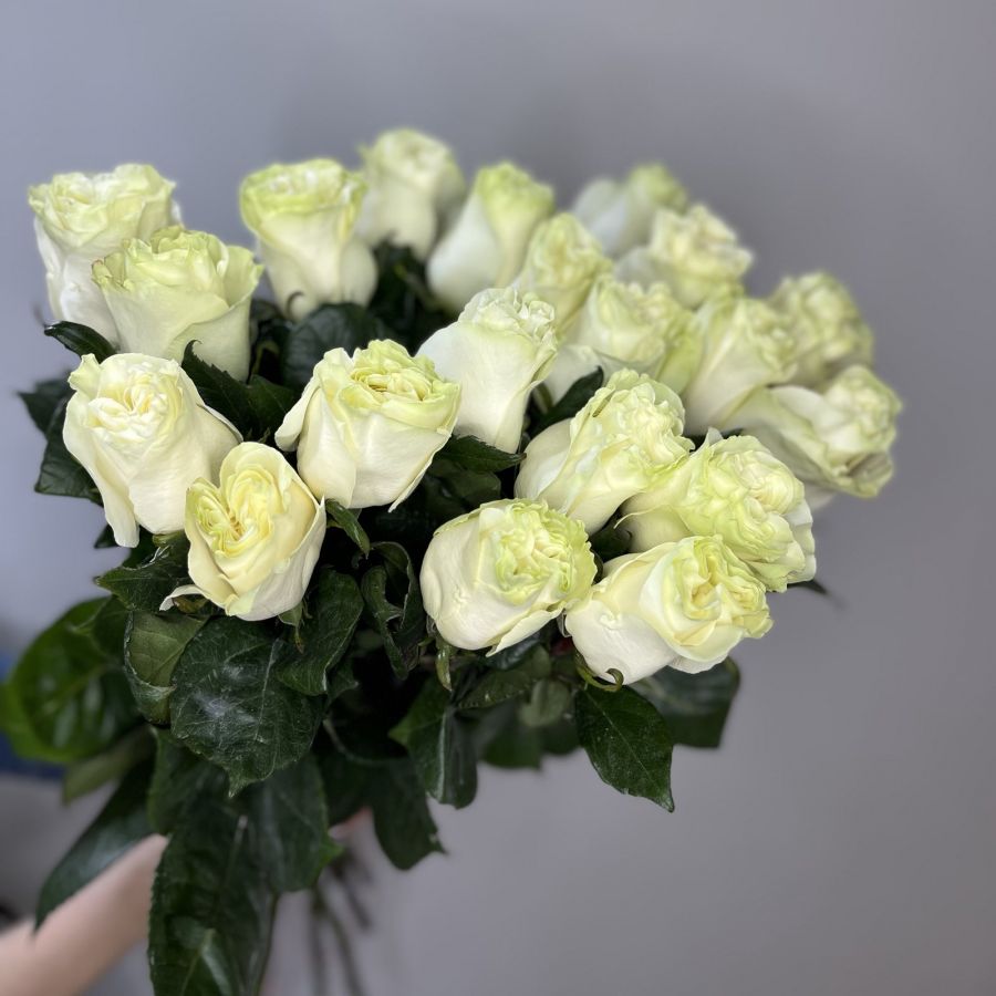 Розы белые (70 см, Эквадор)