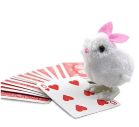 Умный кролик - Smart Rabbit (карточный фокус)
