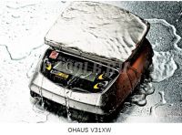 OHAUS V31XH202 Технические электронные весы фасовочные фото