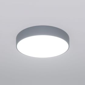 Потолочный светильник Eurosvet 90319/1 Серый / Евросвет