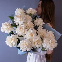 15 белоснежных французских роз