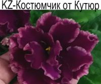 KZ-Костюмчик от Кутюр