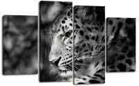Модульная картина Взгляд ягуара