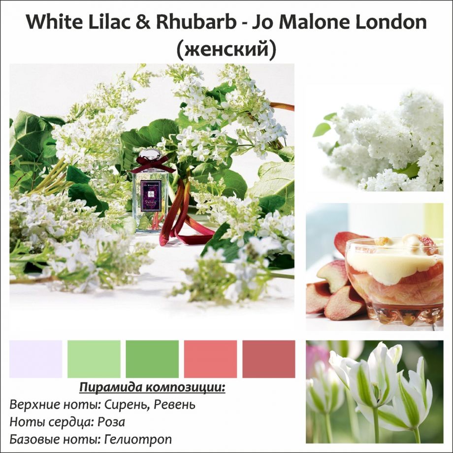 ~White Lilac & Rhubarb (w) ~