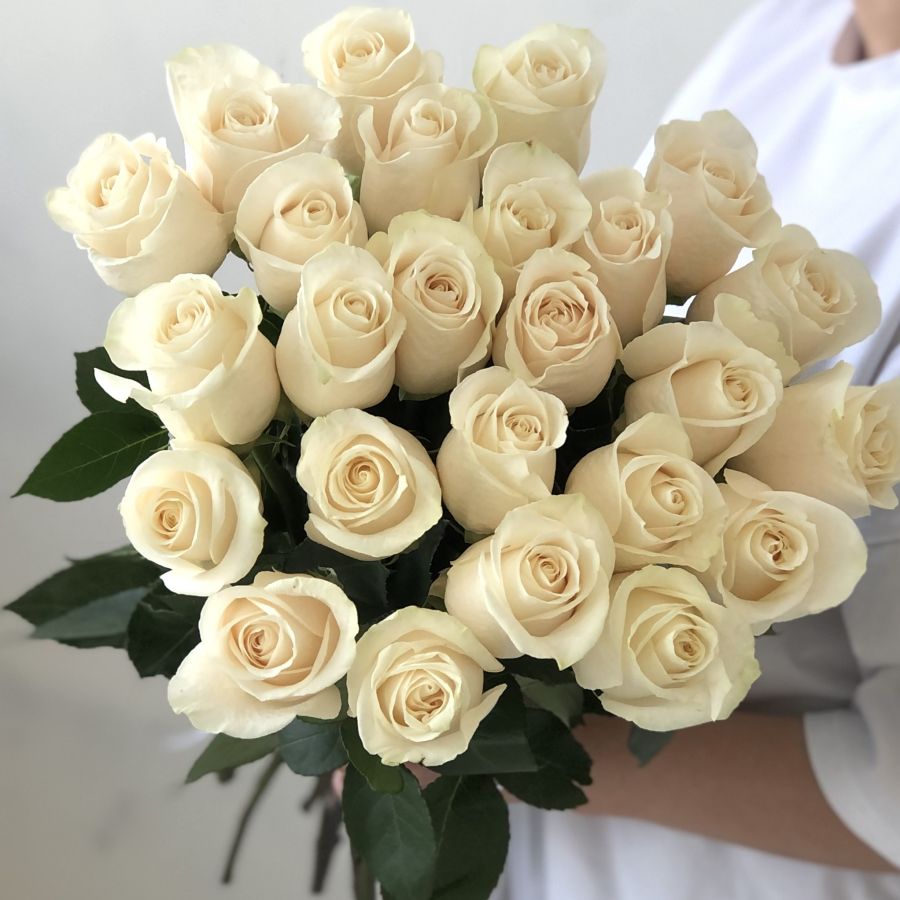 Белые розы эквадор