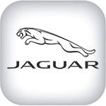 для Jaguar