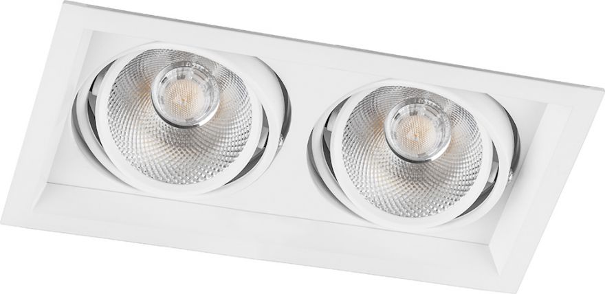 Встраиваемый светильник Feron AL202 2x20W