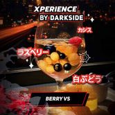 DarkSide Xperience 120 гр - Berry VS (Берри ВС)