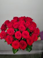 ярко красные розы, сорт Ред Наоми
