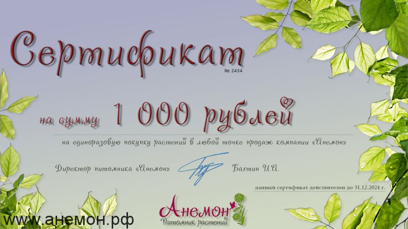 Подарочный сертификат на растения (1 000 рублей)