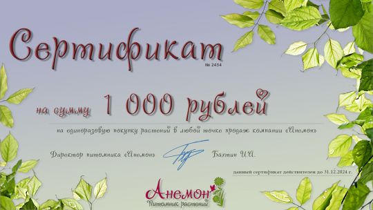 Подарочный сертификат на растения (1 000 рублей)