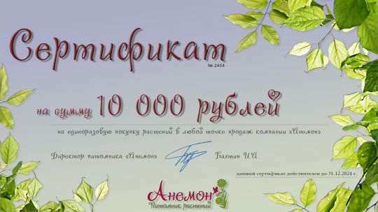 Подарочный сертификат на растения (10 000 рублей)