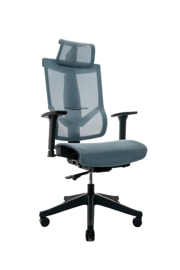 Эргономичное ортопедическое кресло Hoshi Mesh (Каркас чёрный/ сетка синяя)