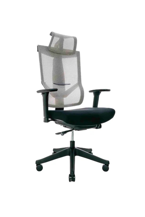Эргономичное ортопедическое кресло Hoshi Fabric (Каркас чёрный/ сетка бежевая)
