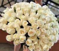 Розы эквадор белые  от 11шт (60см)